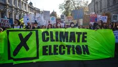 Защо бизнесът не може да се справи сам с климатичните промени?