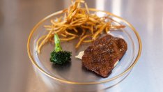 САЩ разрешиха продажбата на лабораторно месо