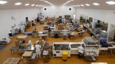 Имиграционните планове ще навредят на британската икономика, предупреди бизнесът