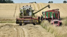 По-голямото предлагане на зърно понижи цените на пшеницата в САЩ, Франция и Украйна