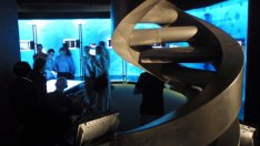 Пазарните разпродажби ще поставят на изпитание ДНК-то на инвеститорите