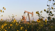 Баркиндо: ОПЕК иска пълно прилагане на сделката за намаляване на петролния добив