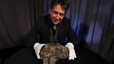 Над 600 хил. долара за парче от Луната