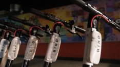 Bird напуска Германия, Швеция, Норвегия и „няколко десетки" пазара в САЩ и Европа