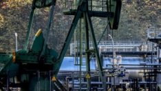 Петролът поевтинява в очакване на финалното решение за съкращенията на добива*