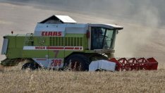 Васил Симов: По-слабата зърнена реколта няма да е фатална