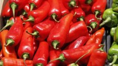 Валежите сринаха зеленчуковата реколта