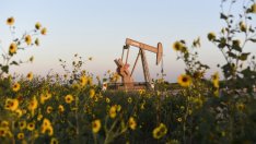 Нарастващият оптимизъм за сделка на ОПЕК подкрепи петрола