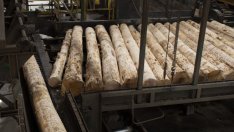 Дървесината изтри цялото си поскъпване за годината