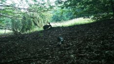 Планът за Природен парк "Витоша" скоро пак ще бъде разгледан от екоексперти