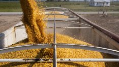 Русия съживява бартерната търговия, за да заобиколи санкциите на Запада