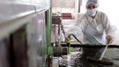 Българска ферма за спирулина край Пазарджик ще се конкурира с вносителите