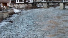 България продължава с активна туристическа реклама в Санкт Петербург и Кишинев