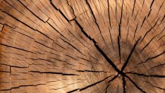 Подемът на пазара на имоти стимулира и производството на мебели