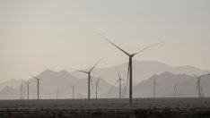  През 2025 г. бизнесът се отдръпна от целта за нетна нула