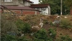 Незаконните сметища в България са около 400