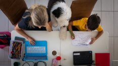 МОН предлага онлайн обучението да се редува с присъствено