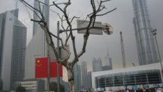 Европа не трябва да разчита особено на китайския кеш