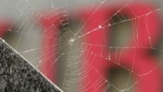 Загубите на UBS от неразрешени операции се увеличиха до 2,3 млрд. долара