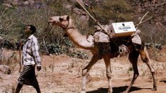 Новата мечта на Diageo - да спечели младите африканци