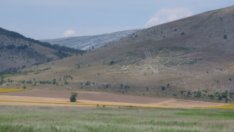 „Елана Агрокредит“ АД с 10% спад на печалбата през третото тримесечие