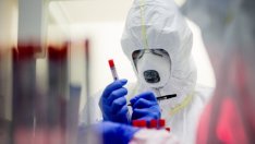 България отчита рекорден брой заразени, хоспитализирани и оздравели