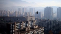 13 промишлени отрасъла у нас са засегнати от зелената трансформация