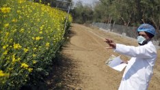 Syngenta отказа поглъщане за 45 млрд. долара