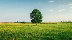 Земеделската земя се утвърди като топ актив през 2022 г.