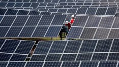 Калифорния ще има 100% електроенергия от ВЕИ до 2045 г.