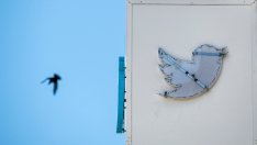 Свободното слово не процъфтява онлайн