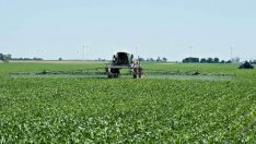 Цените на торовете падат с 30% спрямо рекорда заради свиването на търсенето