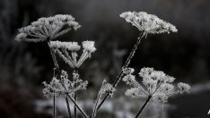 Задава се студено време, а Европа не е готова да се отоплява