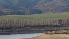 Язовирите у нас са с 65% по-пълни от миналата година