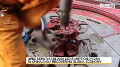 ОПЕК прогнозира силно търсене на петрол през 2025 г.