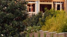 Цените на жилищата в САЩ растат най-бързо от 12 години