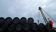 Петролните бикове остават в засада