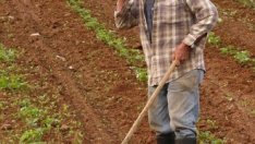 Всеки трети фермер в България е над 65 г.