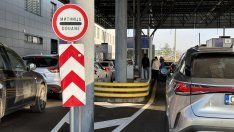 Вътев: С новата лаборатория за пестициди камионите ще чакат на границата само 5-6 часа