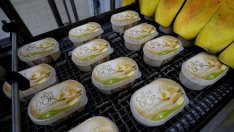 Unilever отчете ръст на печалбата и оборота си за 2017 г.