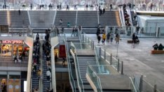 Могат ли жилищата да спасят моловете?