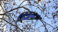 Германия: Нуждаем се от бързо приемане на следващия европейски бюджет