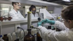 Как да избегнем Голямата стагнация при технологиите