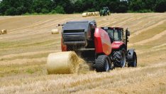 Едва 15% от фирмите планират да наемат служители до края на годината