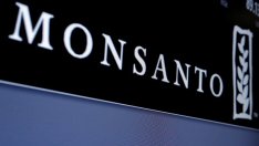 Bayer може да обяви поглъщането на Monsanto преди края на деня