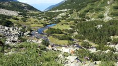 Инвестициите в природата носят значителна възвръщаемост