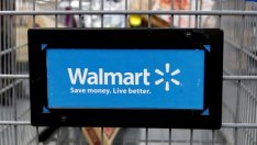 Walmart спечели наддаването за Flipkart