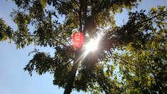 Слънчевата страна на Азия