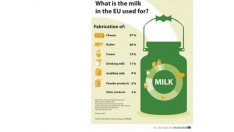 Какво се случва с произведеното в ЕС мляко?