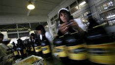 Индексът на производствените цени с трети месечен ръст през първото шестмесечие